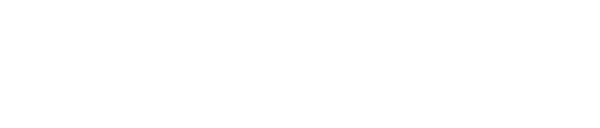 Lepshee AI